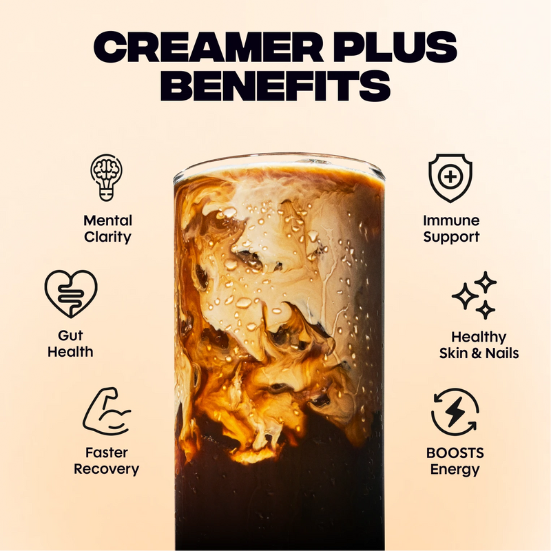 Vanilla Creamer+ (10 Servings) - Essential Ready